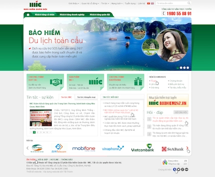 Mẫu website Tổ chức 42