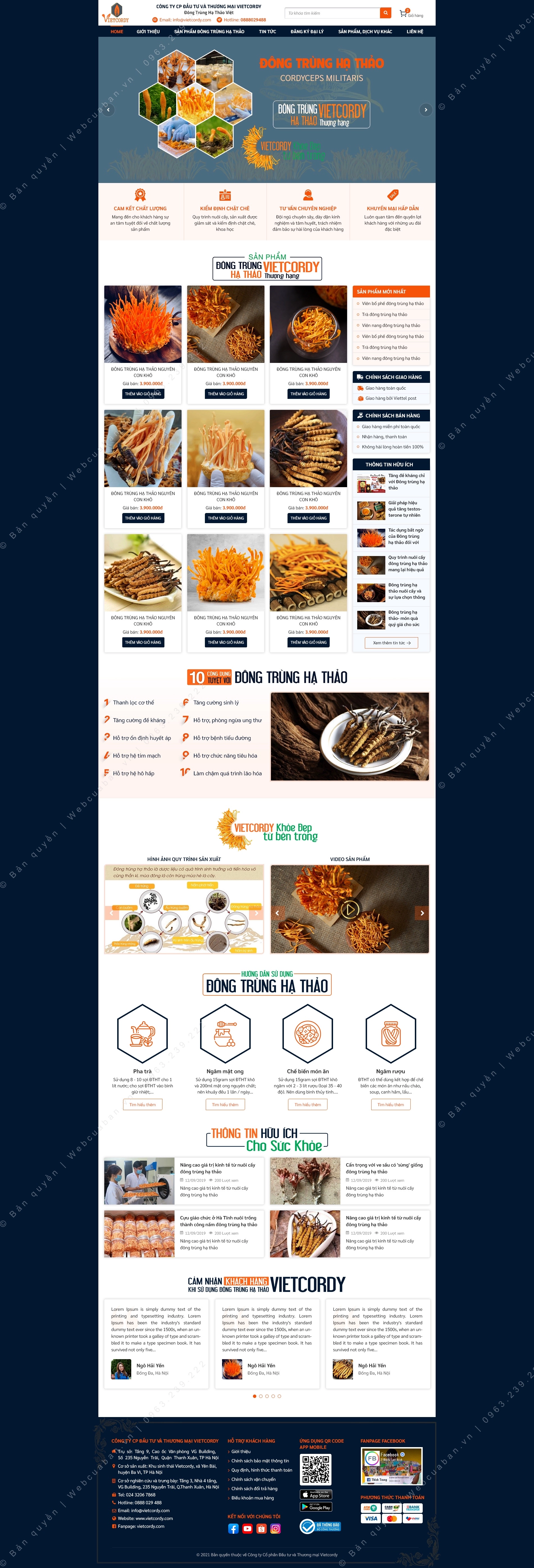 trang chủ website